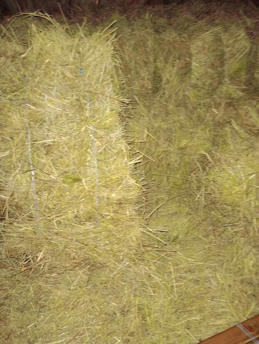 Сіно в тюках, бал