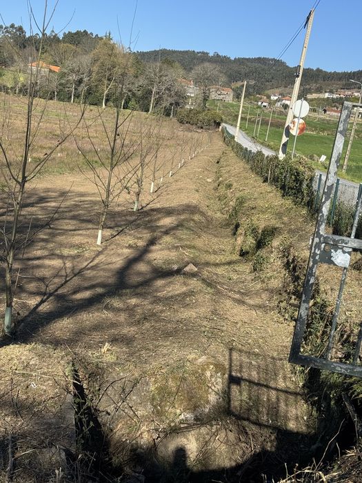 Limpezas e jardins e lagos