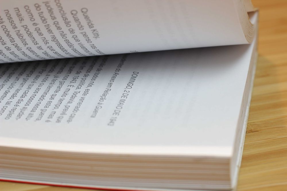 O DIÁRIO DE ANNE FRANK (livro em português)