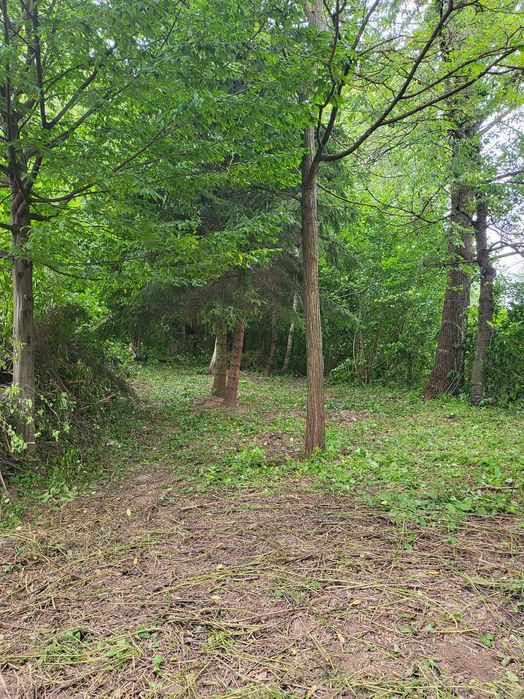 Dom – Tomaszów Lubelski - Widok 5