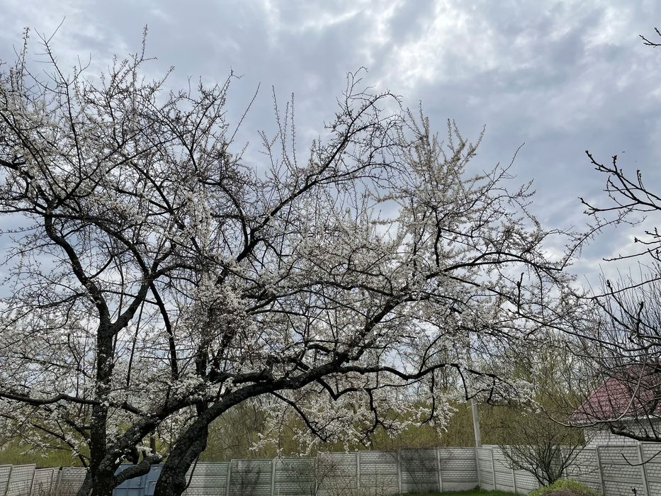 Продам свою дачу с дровяной печью  Рай-Еленовка