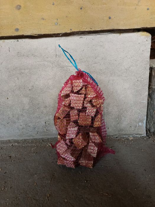 Rozpałka drzewo iglaste