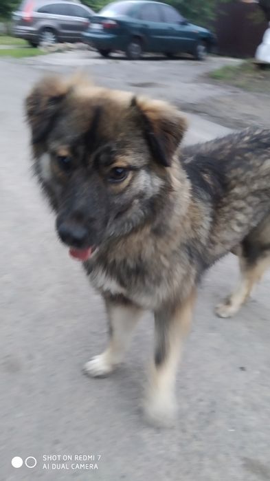 Безкоштовно. Дуже гарна молоденька дівчинка