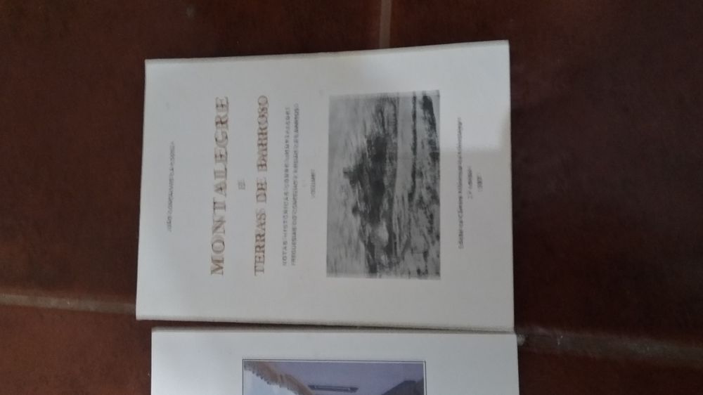 Conjunto de livros diversos