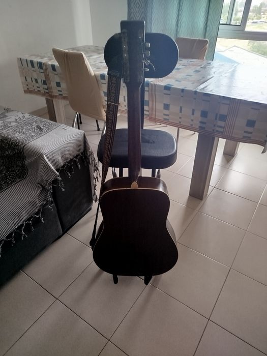 Viola acústica de 12 cordas