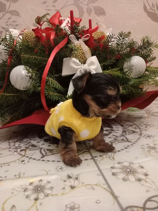 Мальчишки в ожидании чуда