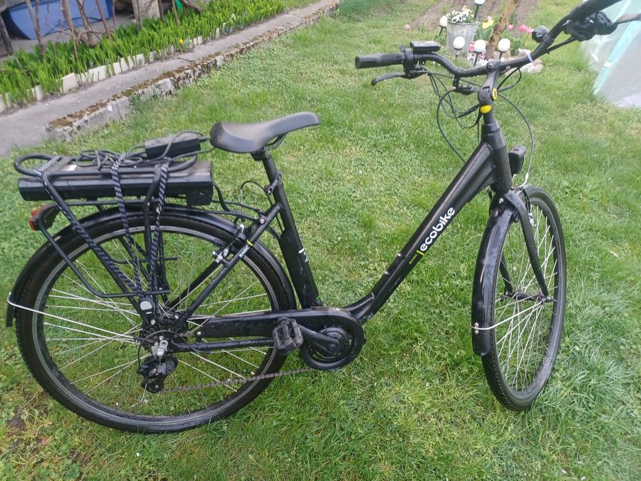 Ecobike rower el.