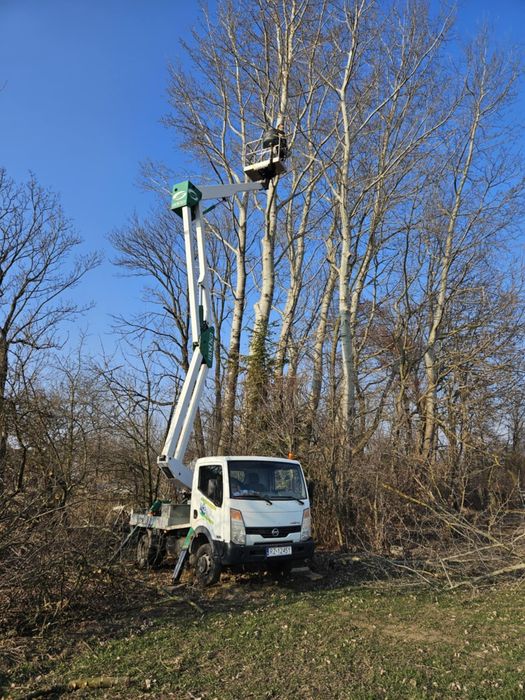 Wycinka, przycinka drzew, Usługi zwyżką