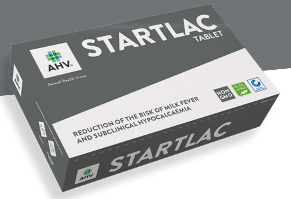 AHV StartLac Tablet , bolus wapniowy