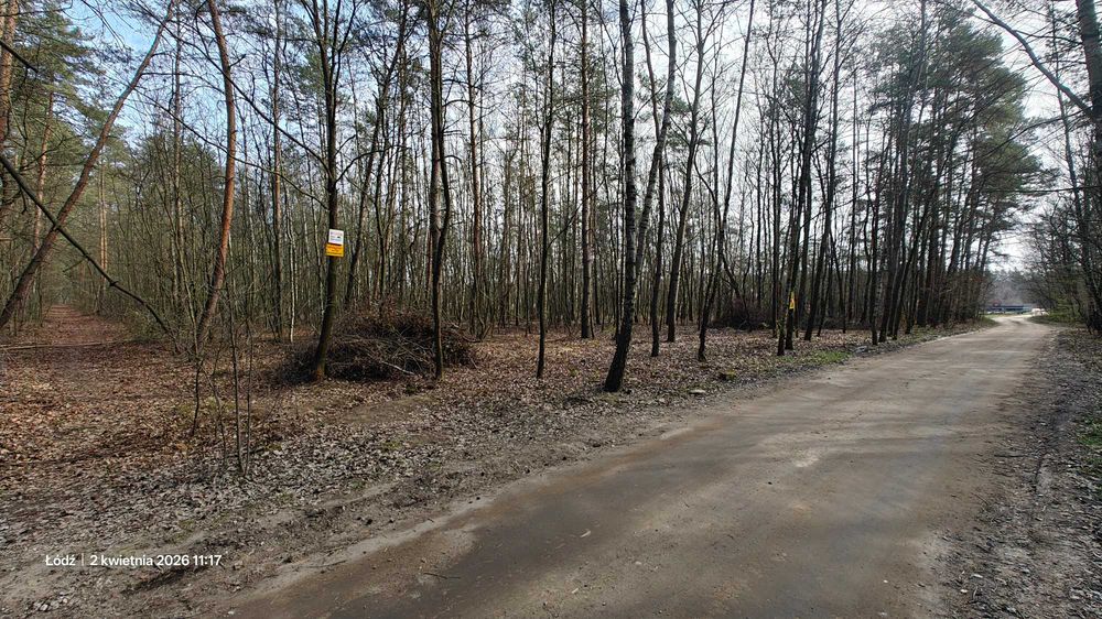 Działka Feliksin - Widok 2