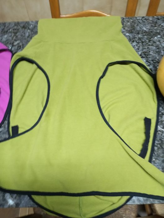 Capa inverno para cão grande