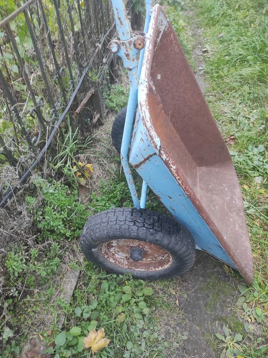 Дім, сад,огород.