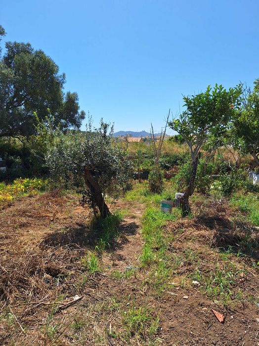 Terreno com Ruína e Projeto: Vista Serra de Sintra (Sacotes)