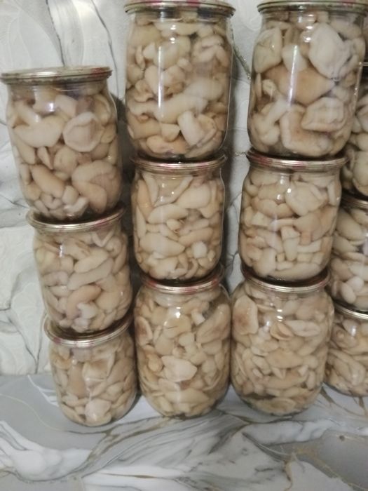 Мариновані гриби маслята,опеньки та білі