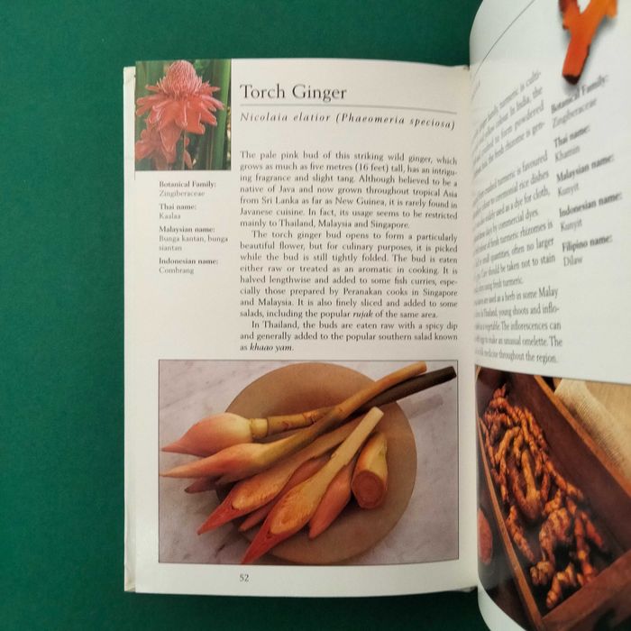 Tropical Herbs & Spices of India & Sri Lanka - Wendy Hutton