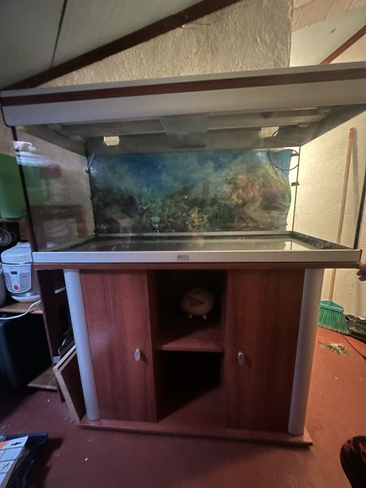 Aquario aquatlantis 100x40x50