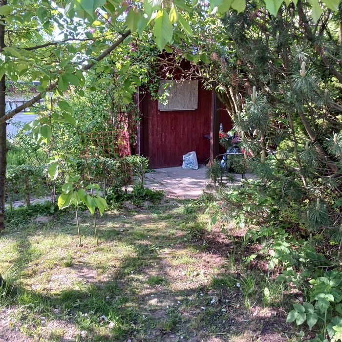 Sprzedam działkę ROD Dąbrowica