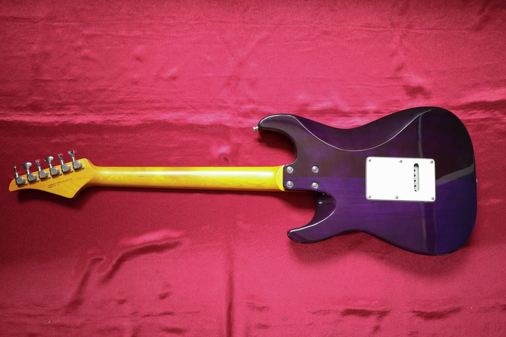 Eart Guitars NK-C3N