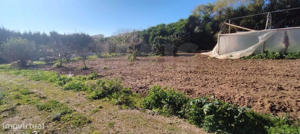 Terreno para Moradia T4 com Projeto Aprovado e Anexos | Lourinhã