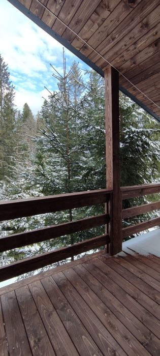 Карпати.Сдам будинок біля лісу подобово