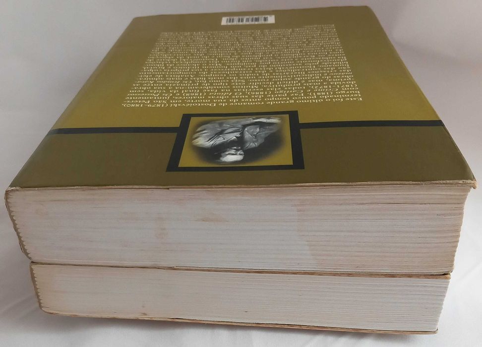 Livros Os Irmãos Karamázov, Vols. I e II (todas as 4 partes), de Fiódor Dostoiévski [Preço marcado pelo conjunto incluindo portes]