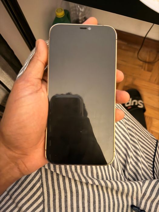 iPhone 12 Pro Max