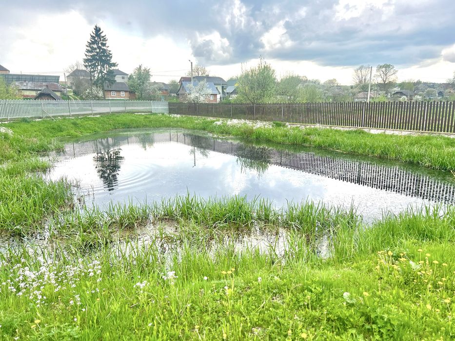 Хата,гараж,сауна,озеро,літня кухня,стайня,