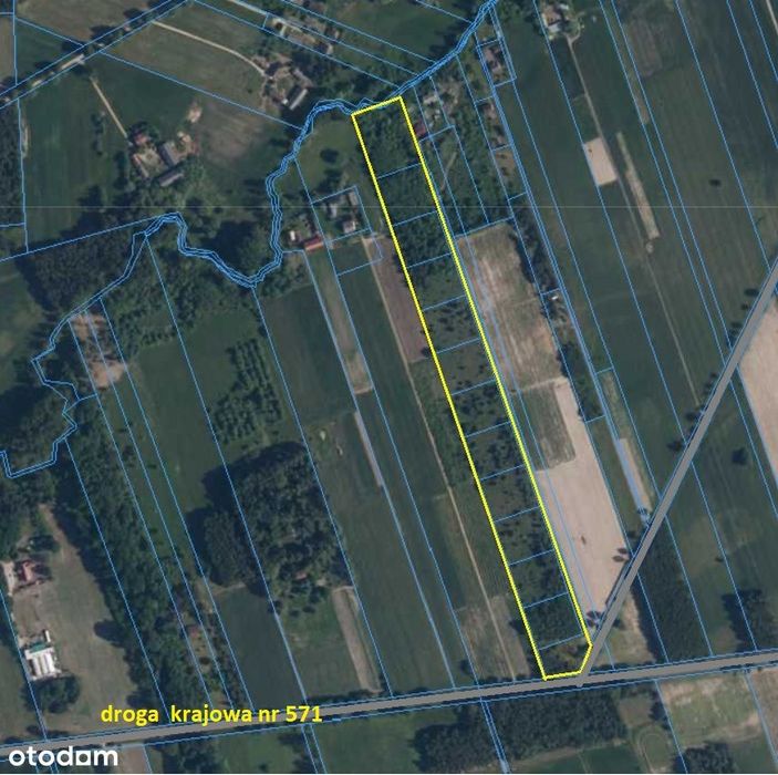 Sprzedam 4 ha ziemi rolnej – k.Nasielska – siedlisko