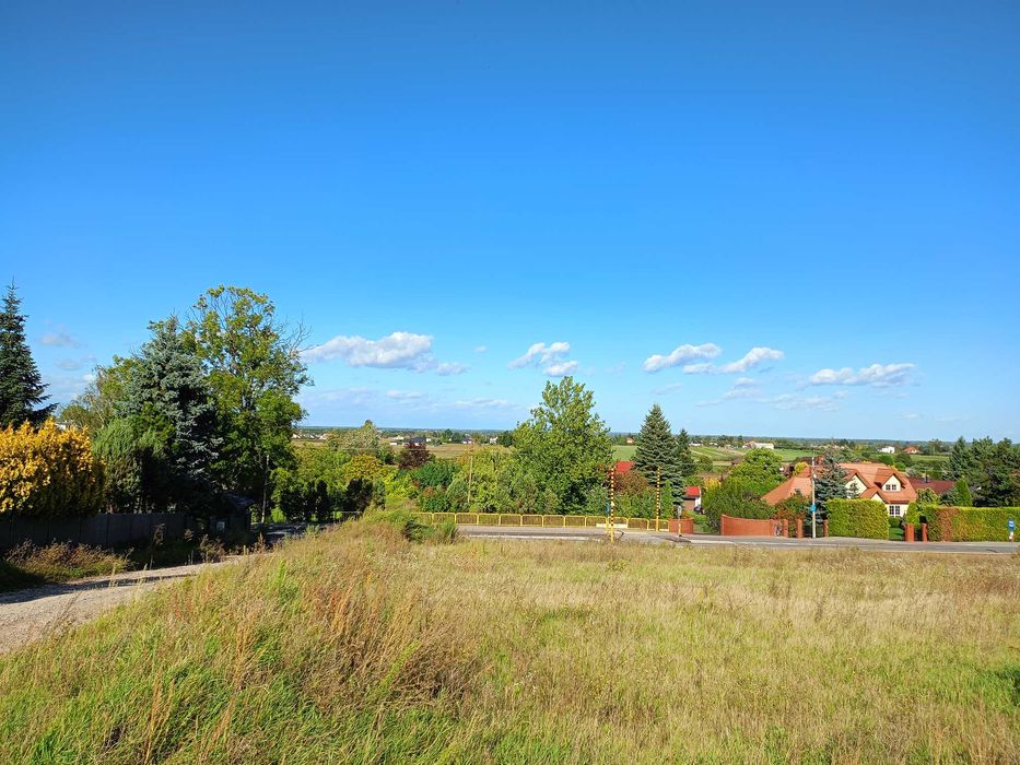 Włocławek działka ul Dobrzyńska MPZP, Media, Las - Widok 5