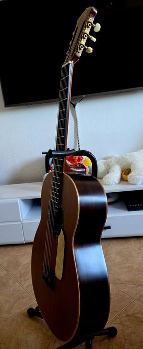 Viola de Fado de 1954