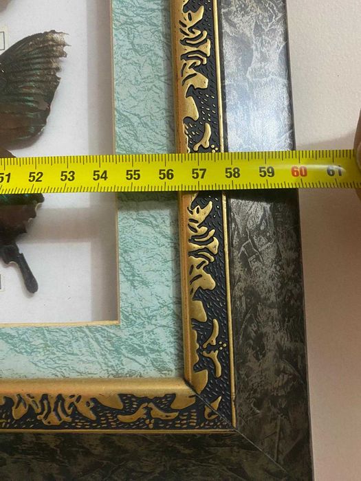 Quadro borboletas de coleção