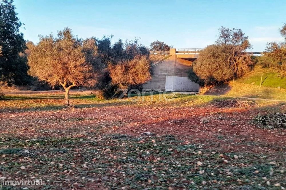 Terreno Rústico – Tunes, Silves | 1.480 m²