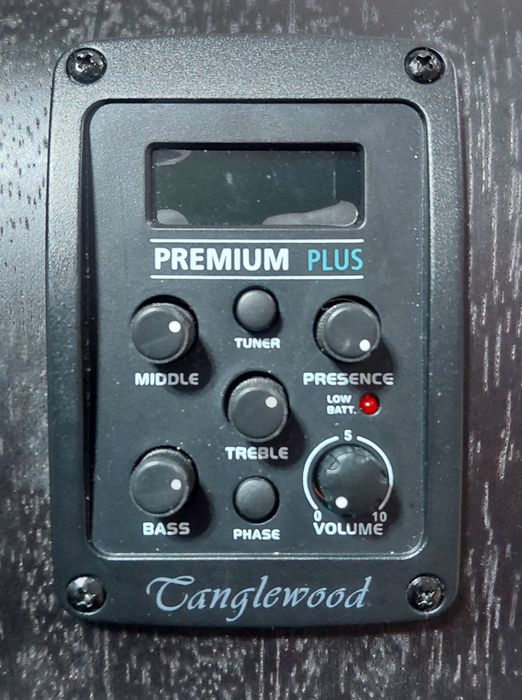 Guitarra Acústica Tanglewood TWBB SFC E Black Bird