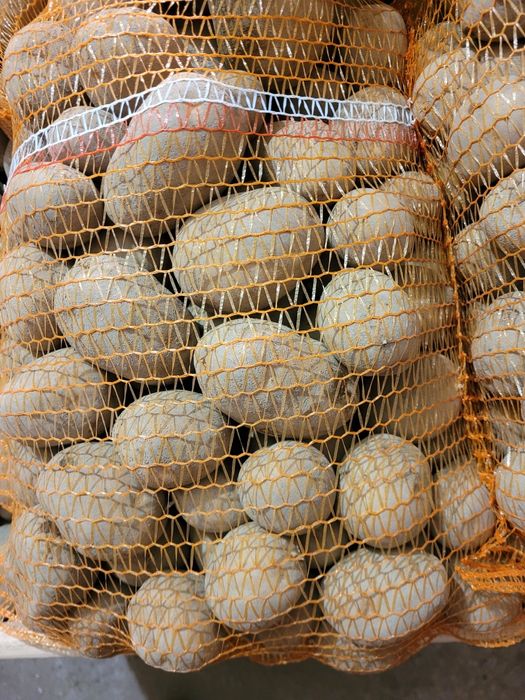 Ziemniaki Wineta Jadalne