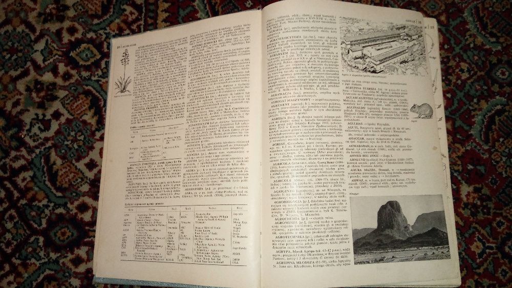 Encyklopedia Powszechna PWN mała