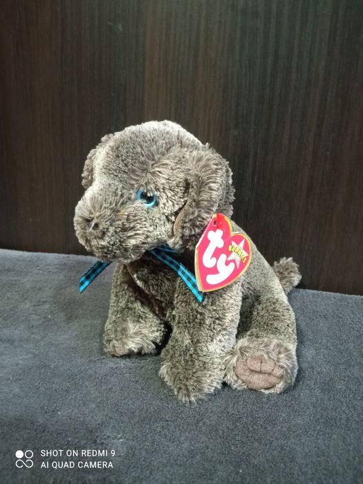 Кот, белая сова Хедвиг, собака