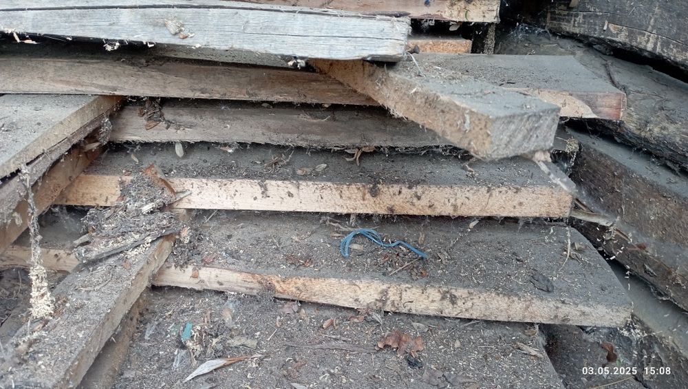 Дошка сосна необрізна