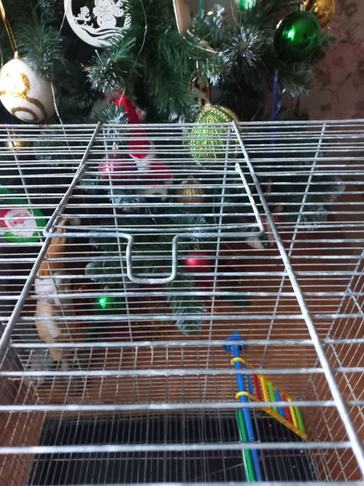 Клітка для гризунів