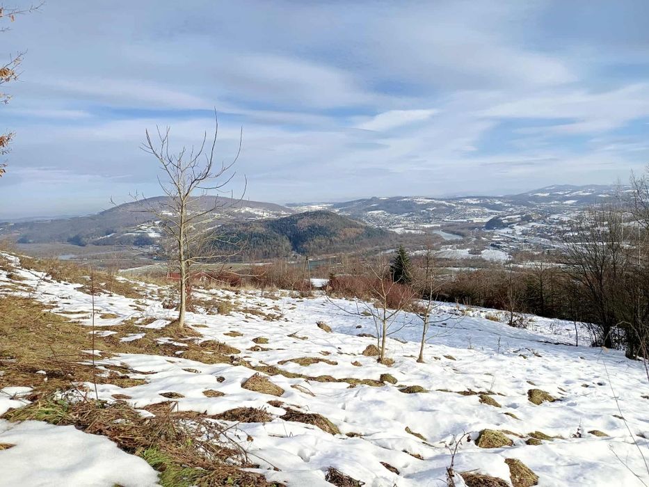 Działka rolna, widokowa - Marcinkowice Łazy