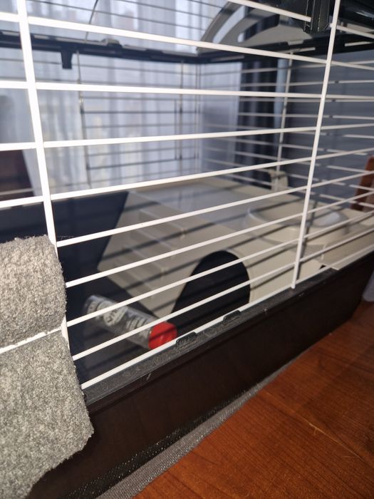 Klatka dla świni morskiej  /królika