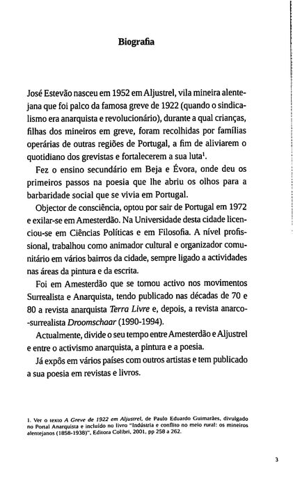 "O Homem de Palha e as Chamas do Tempo" de José Estevão [Novo]