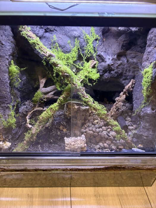 Terrarium z wodospadem