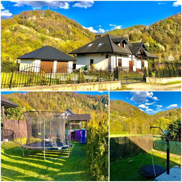 Willa Jagoda duży domek w górach 12 osób jacuzzi kominek bilard