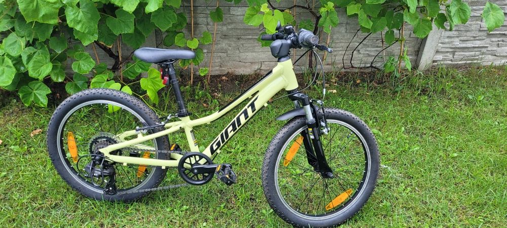 Rower Giant Talon 20 cali