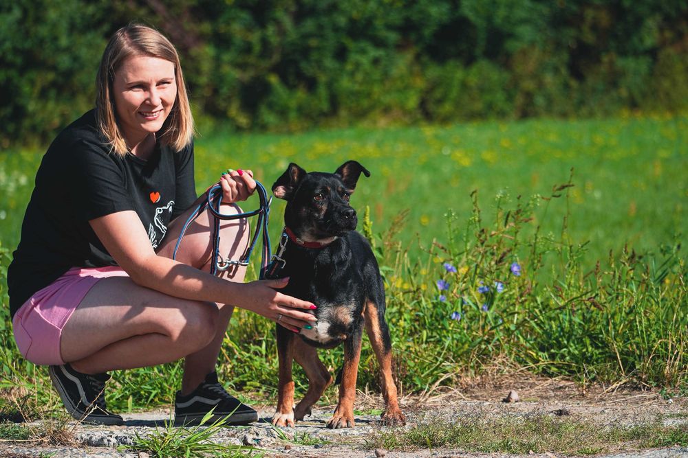BREK - smutny, łagodny piesek