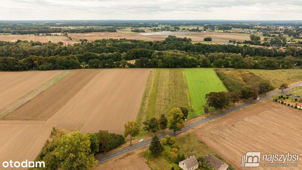 Maszewo-Wisławie - działka rolno-budowlana 748 m² - Widok 6