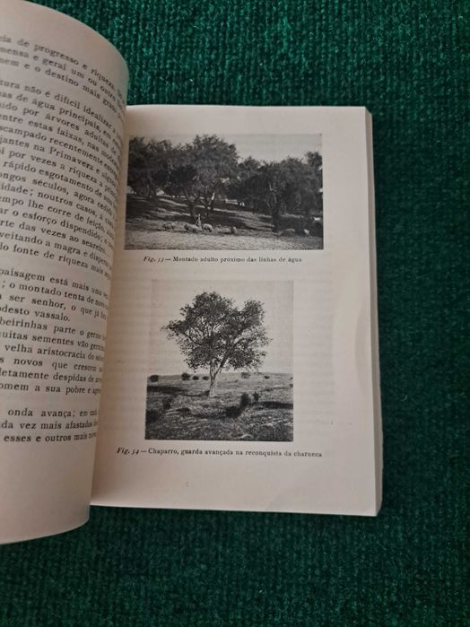 Introdução à Entomologia Florestal Portuguesa - Baeta Neves