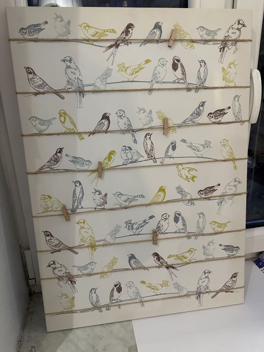 Tablica Pjatteryd 50x70cm !!! Motyw ptaki /Klipsy na zdjęcia !!!