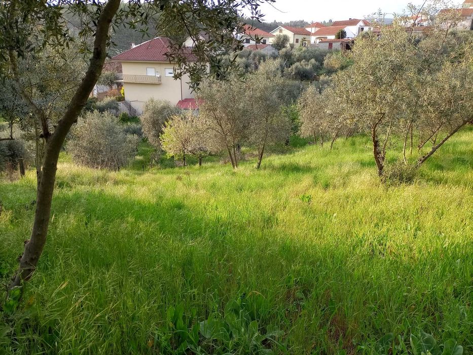 Terreno urbanizável na Rua da Barroca do Bicho - Peso, Covilhã
