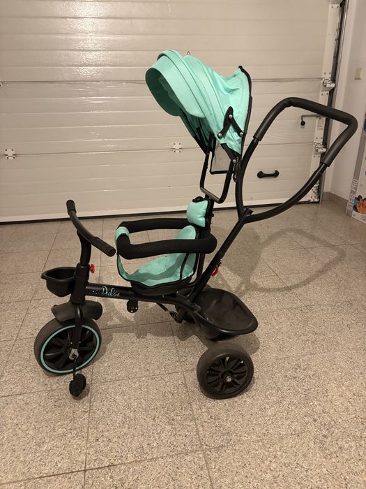 Triciculo Evolutivo Pulse